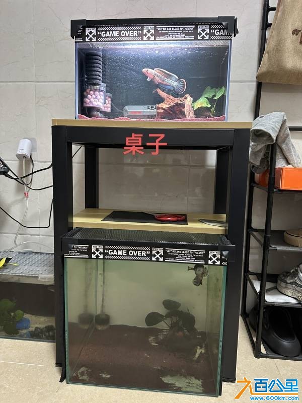 wechat_upload1767621610695bc3ea51651