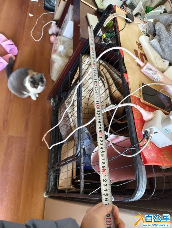 wechat_upload17680192176961d51161cb5