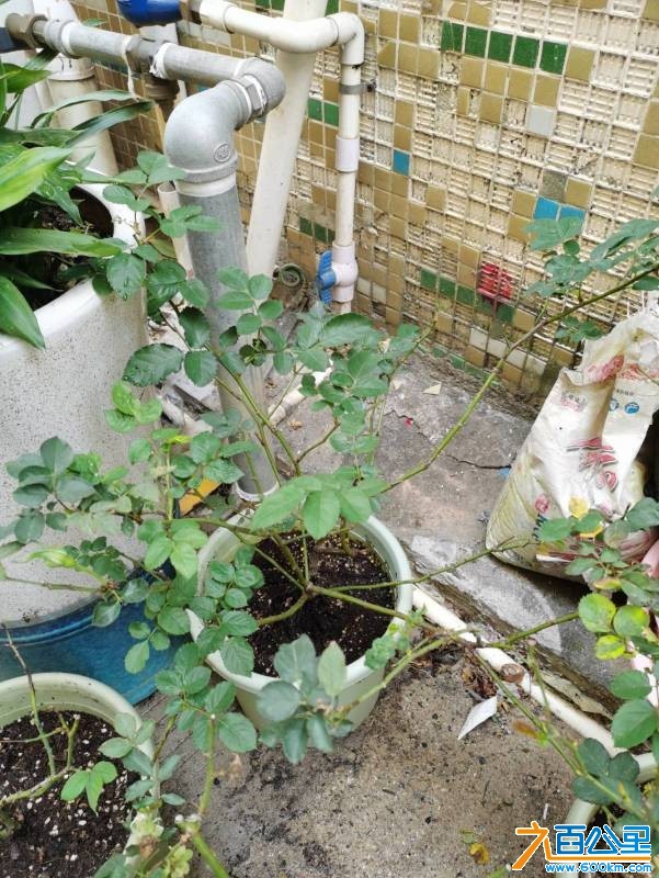 wechat_upload1768610814696adbfe9ef87