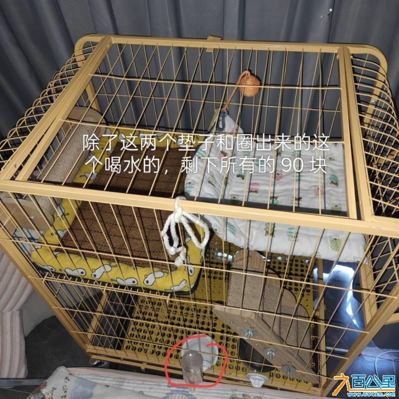 wechat_upload1768868611696ecb03549d0