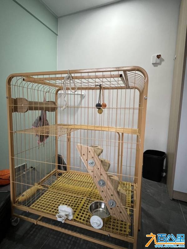 wechat_upload1768898167696f3e778a936