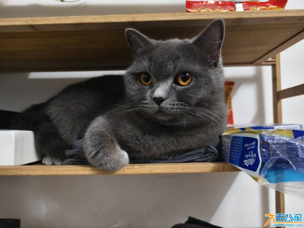 wechat_upload17690069136970e741e909c