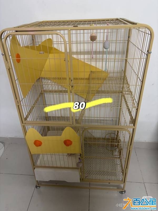 wechat_upload1769498058697865ca9a19d