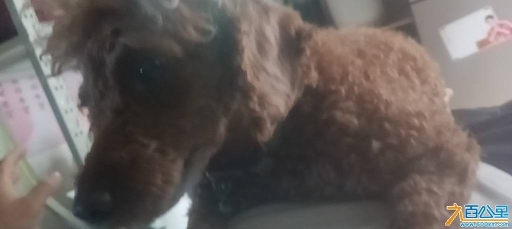 wechat_upload1769762449697c6e9137e01