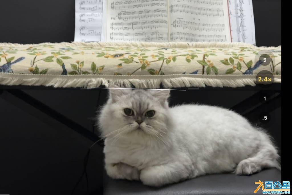 wechat_upload1769872809697e1da9306f8