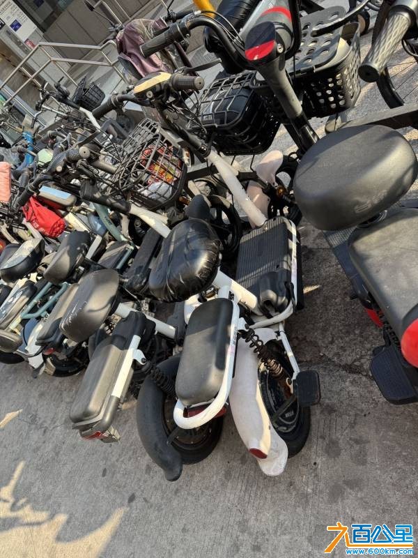 wechat_upload1769938330697f1d9aaa50f