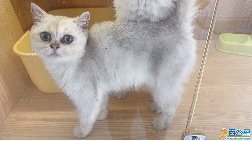 wechat_upload1771757741699ae0ad21e67