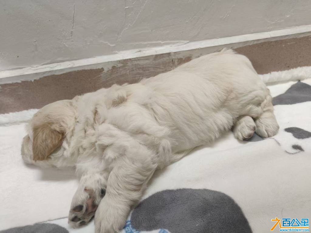 wechat_upload1771989770699e6b0a6ecb2