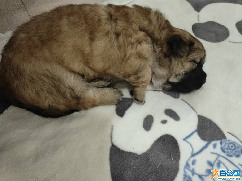 wechat_upload1771989772699e6b0c68c3b