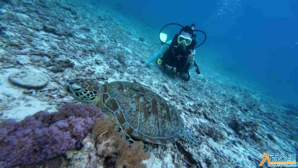 wechat_upload177219588269a1902a2150d