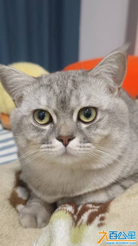 wechat_upload177226066869a28d3c08cd5