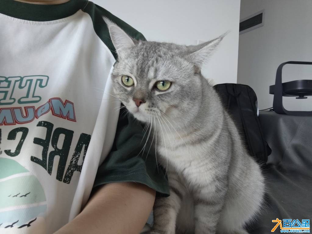 wechat_upload177226067069a28d3eac160