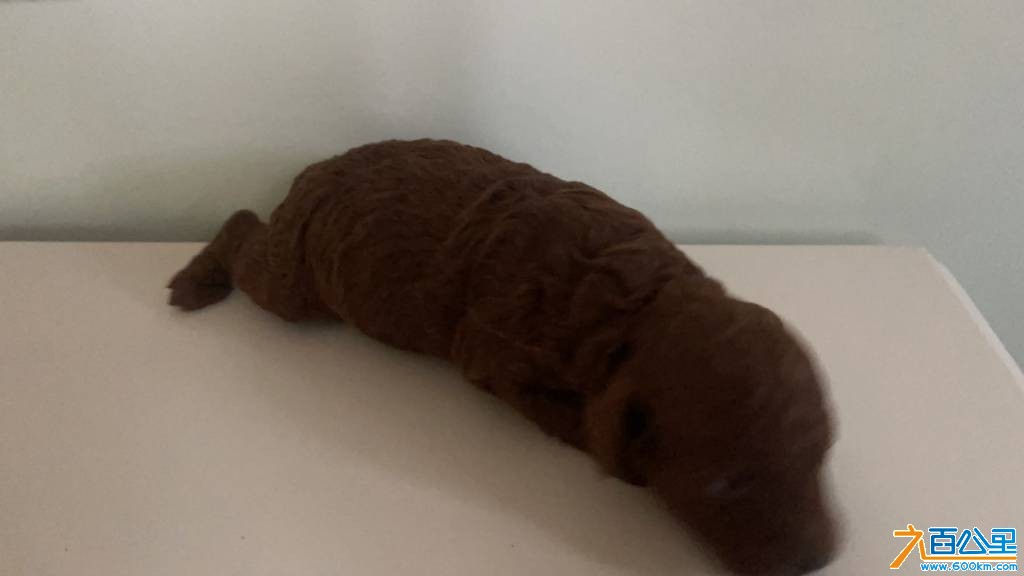 wechat_upload177313923869aff52630610