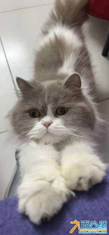 wechat_upload177514279469ce878ab7bd9