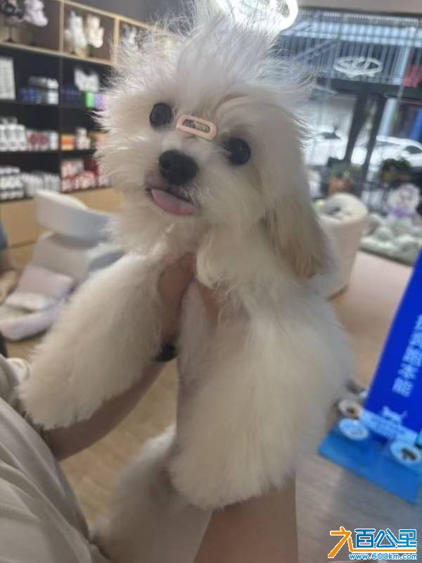 wechat_upload17793224296a0e4e3d7c660