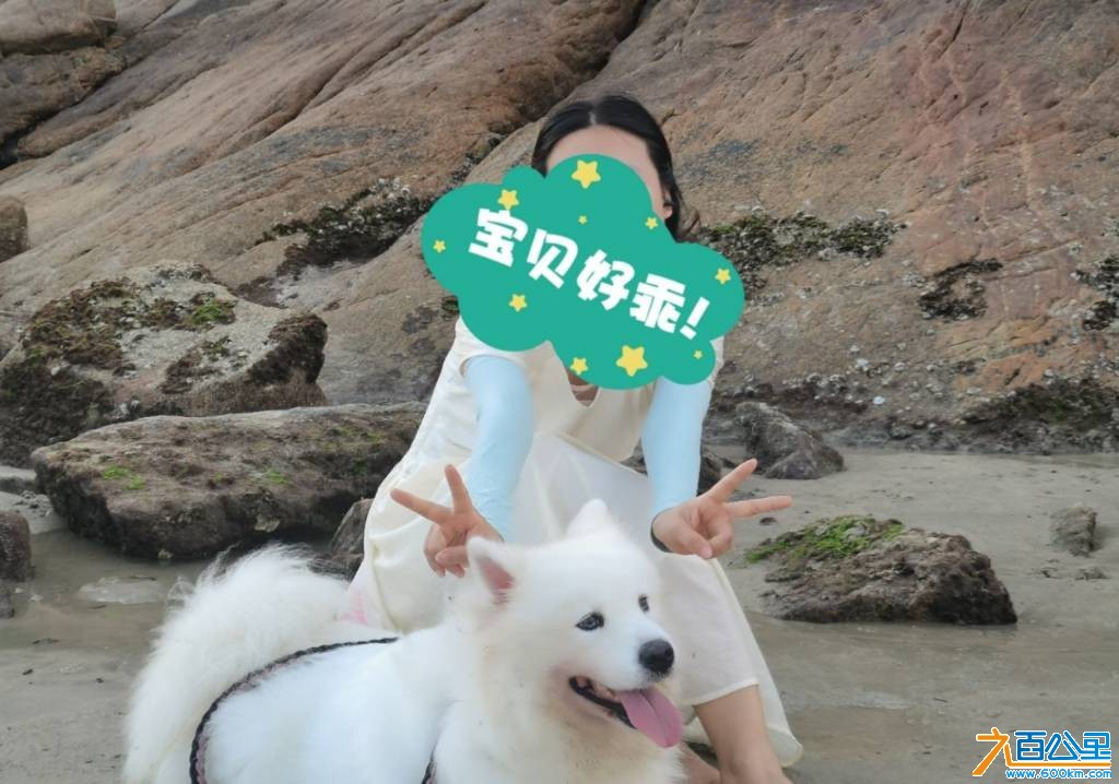 wechat_upload17798701796a16a9e32ad46