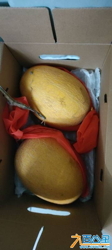 wechat_upload17815317866a30048a0c669